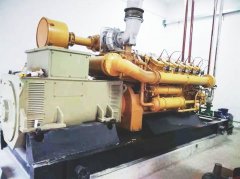 Food waste biogas generator set