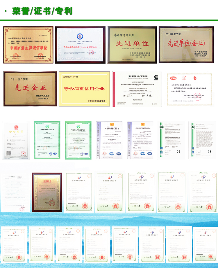 喷油泵总成