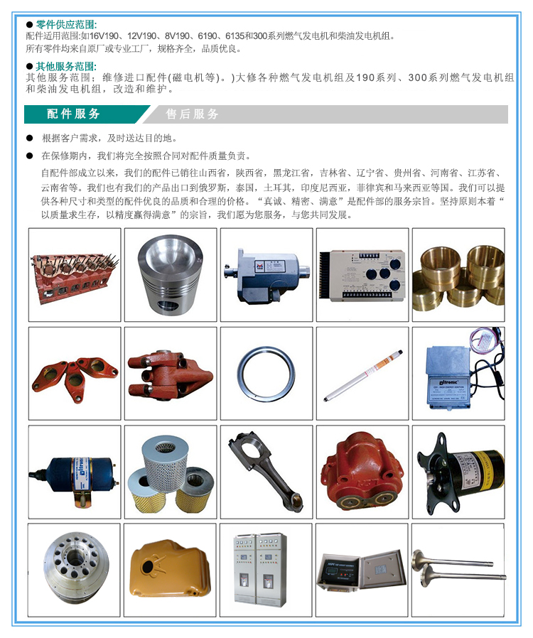 喷油泵总成