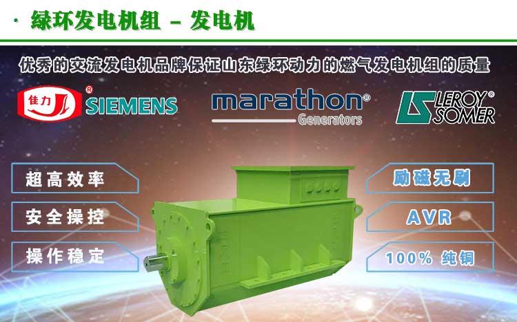 有机废水沼气发电机组